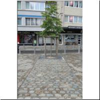 2025-05-28 T1 Pont d'Avroy 04.jpg